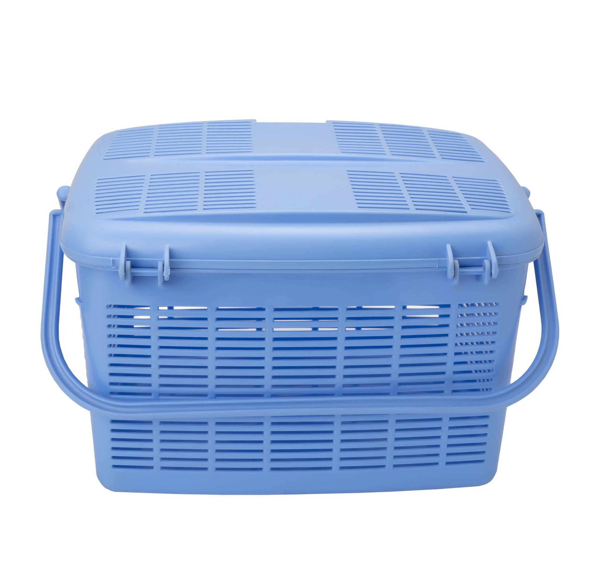 Basket Gulshan Baby Blue