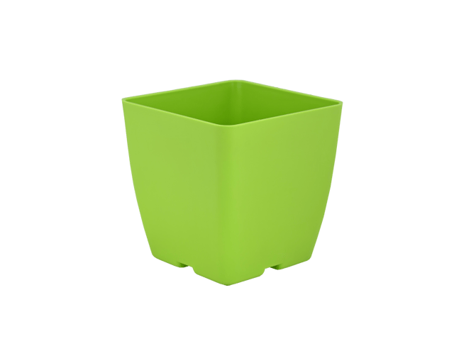 Planter Basant 2 Parrot Green
