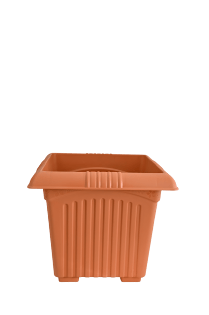 Planter Basant 10 Brown