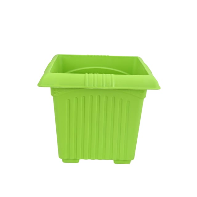 Planter Basant 12 Parrot Green