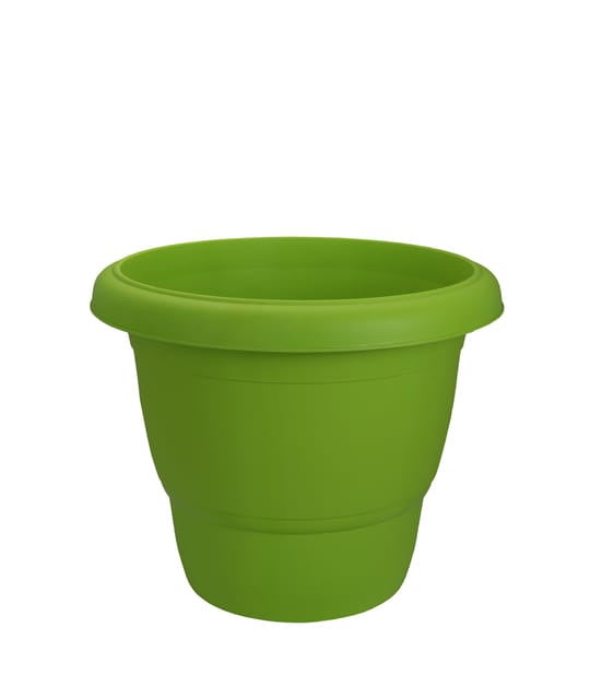Planter Rose Parrot Green