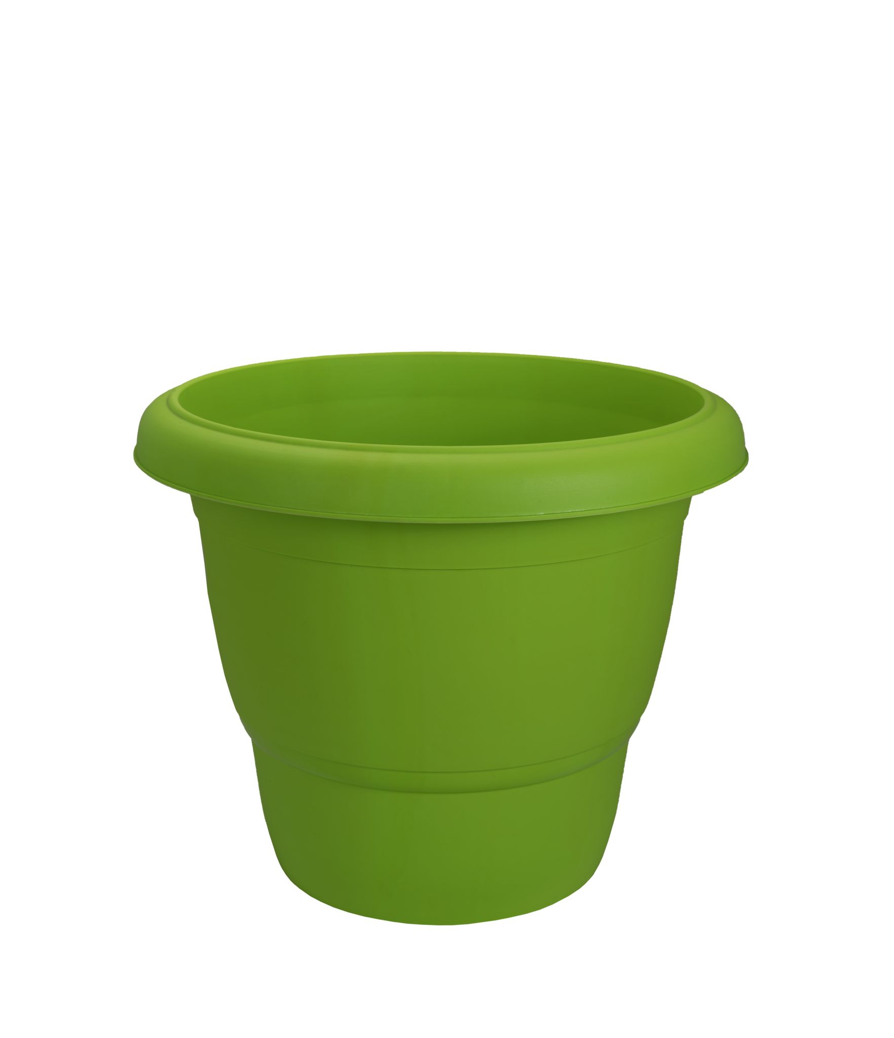 Planter Rose Parrot Green
