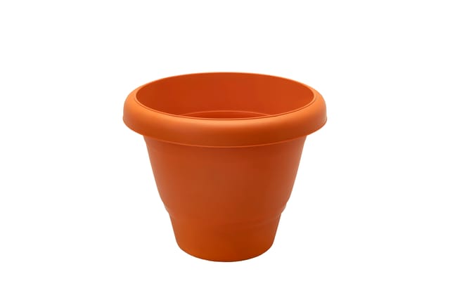 Planter Rose Brown