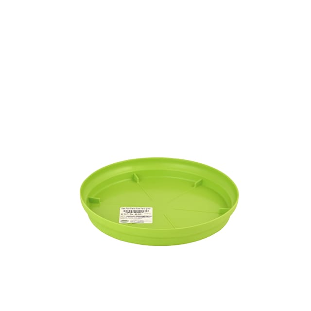Planter Rose Base Plate Parrot Green