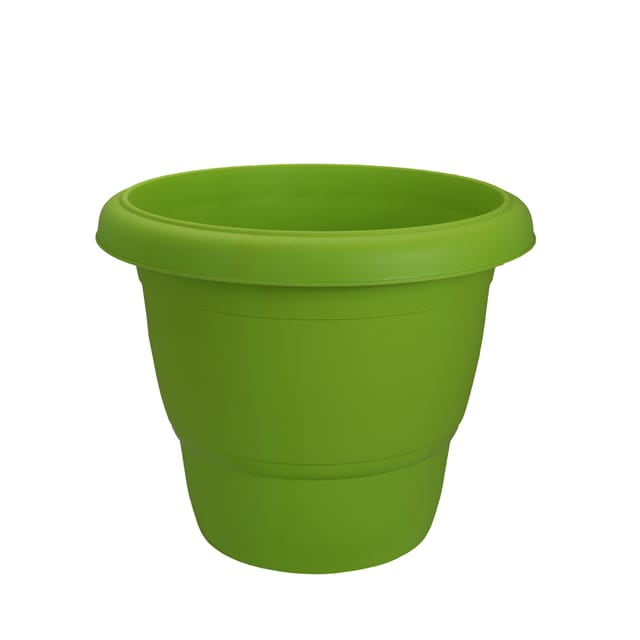 Planter Sunflower Parrot Green