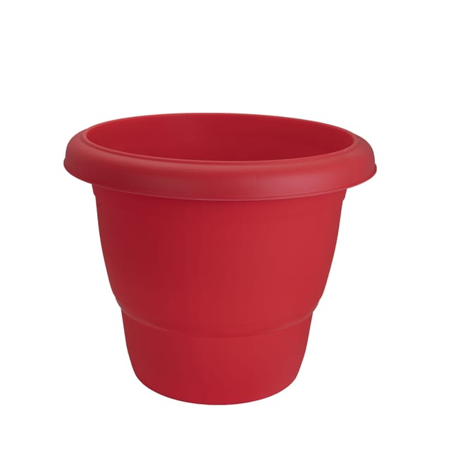 صندوق زراعة عباد الشمس الأحمر