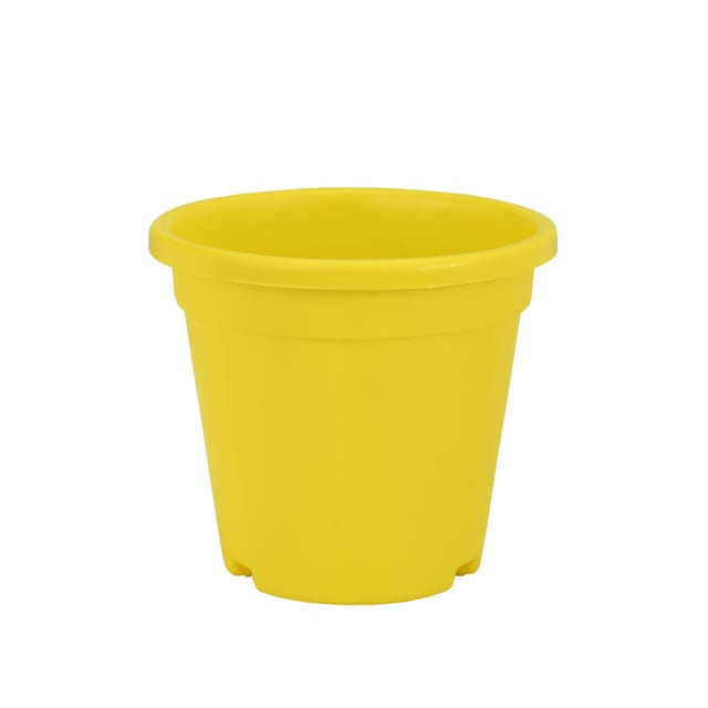 وعاء زراعة ميغ 1 أصفر