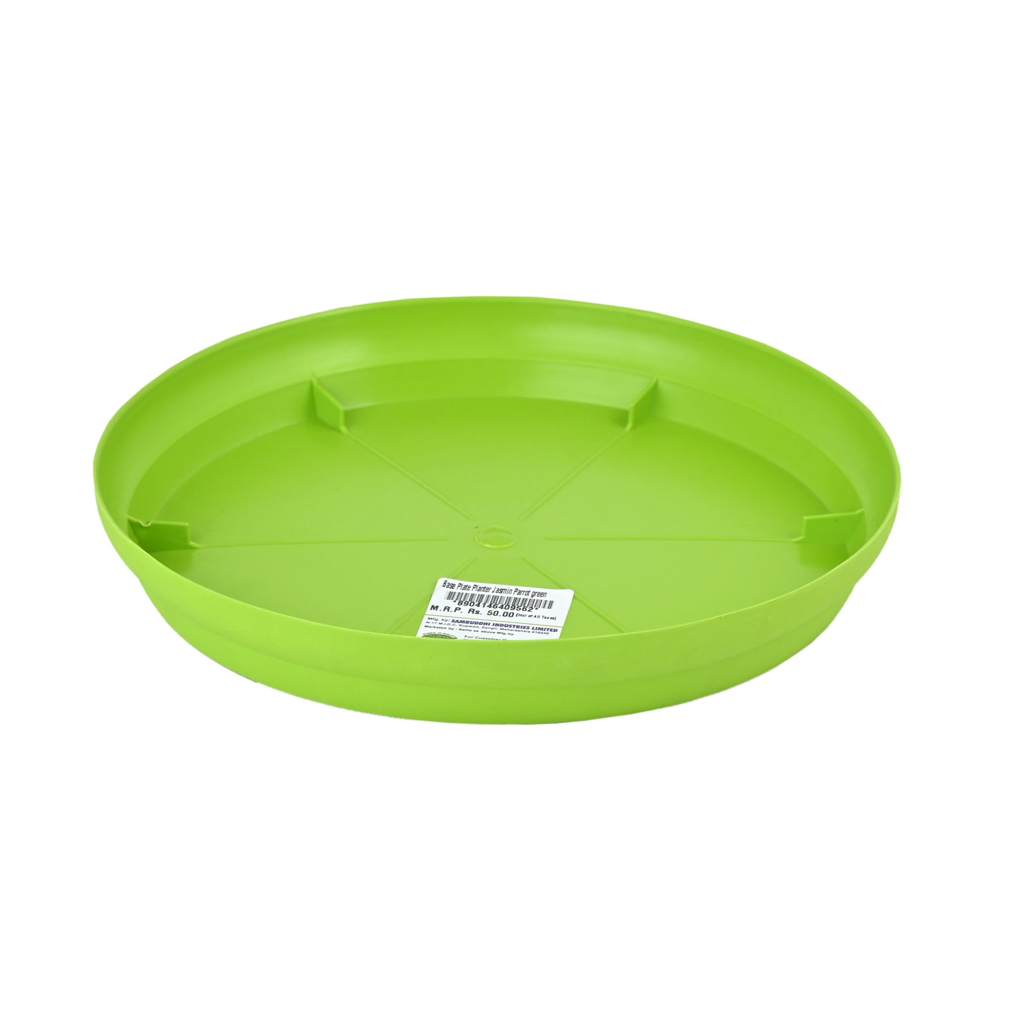 وعاء زراعة الياسمين، قاعدة خضراء ببغائية