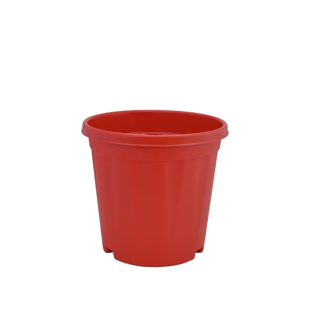 Planter Megh 5  Red