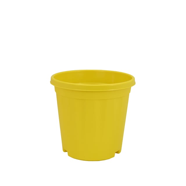 Planter Megh 5 Yellow