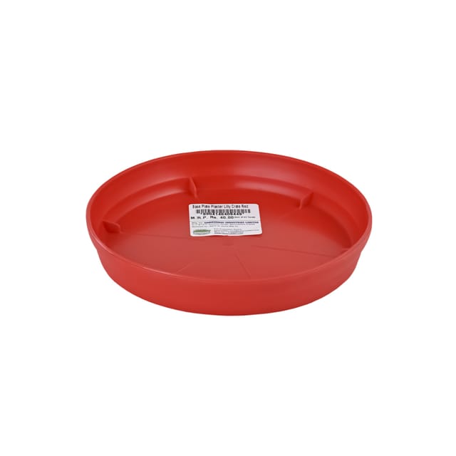 Planter Lilly Base Plate Crate Red