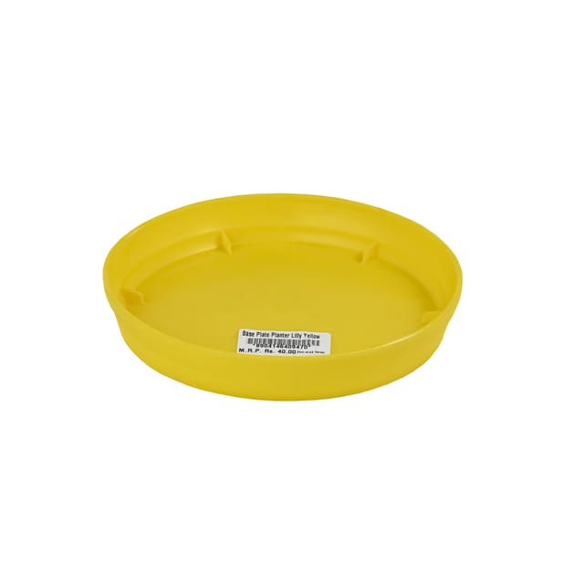 قاعدة وعاء زراعة على شكل زهرة الزنبق، لون أصفر