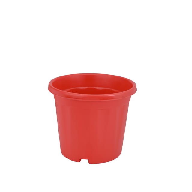 Planter Megh 7  Red