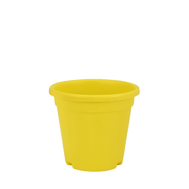 وعاء زراعة ميغ 2 أصفر