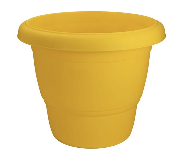 Planter Lotus Yellow