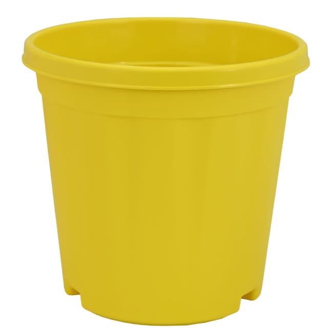 Mpanda Megh 7 Njano