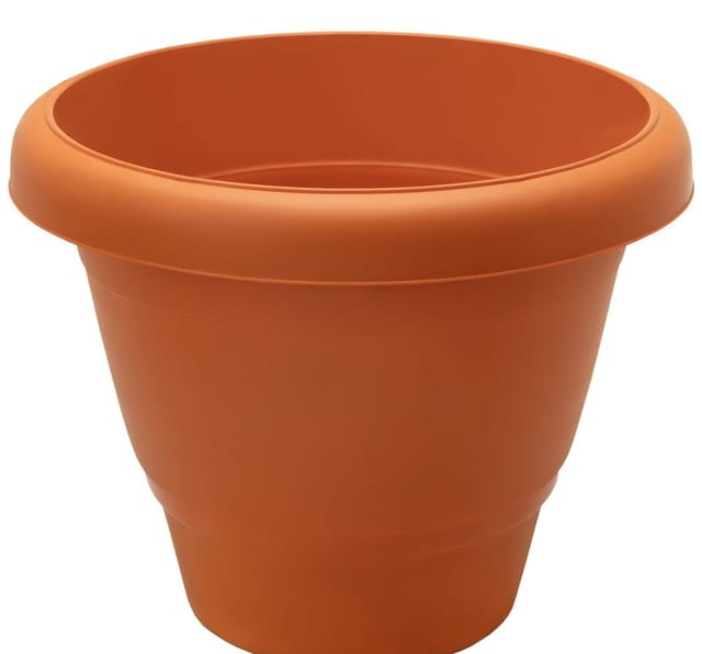 Mpandaji Lotus Brown