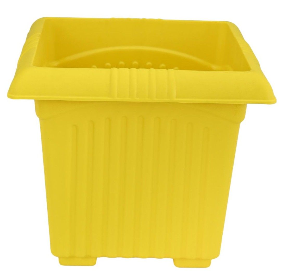 Planter Basant 14 Yellow