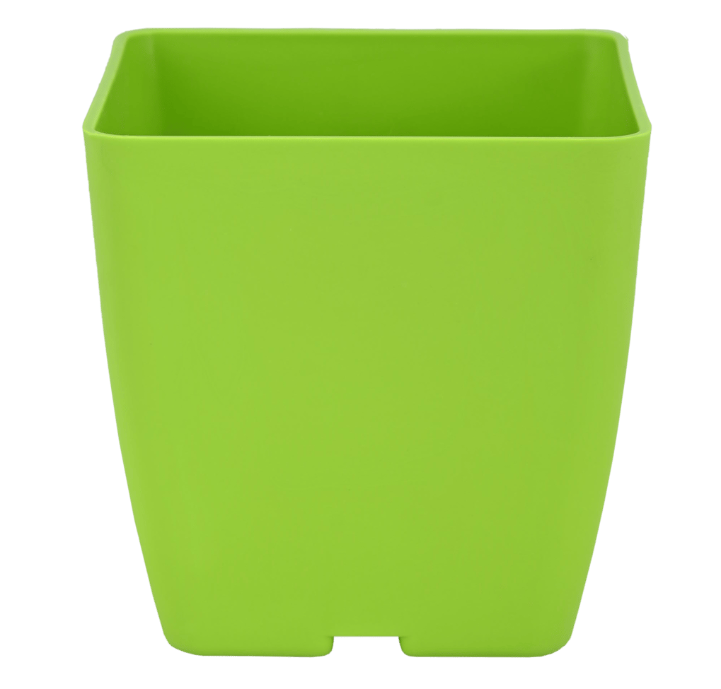 Planter Basant 2 Parrot Green