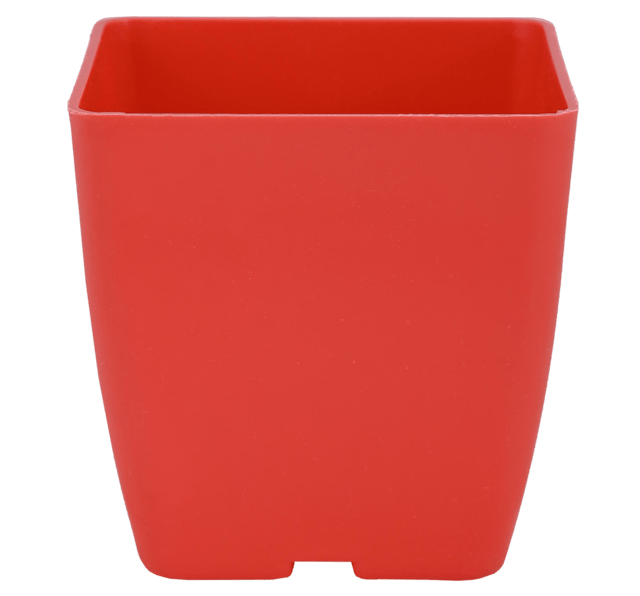 Planter Basant 2 Red