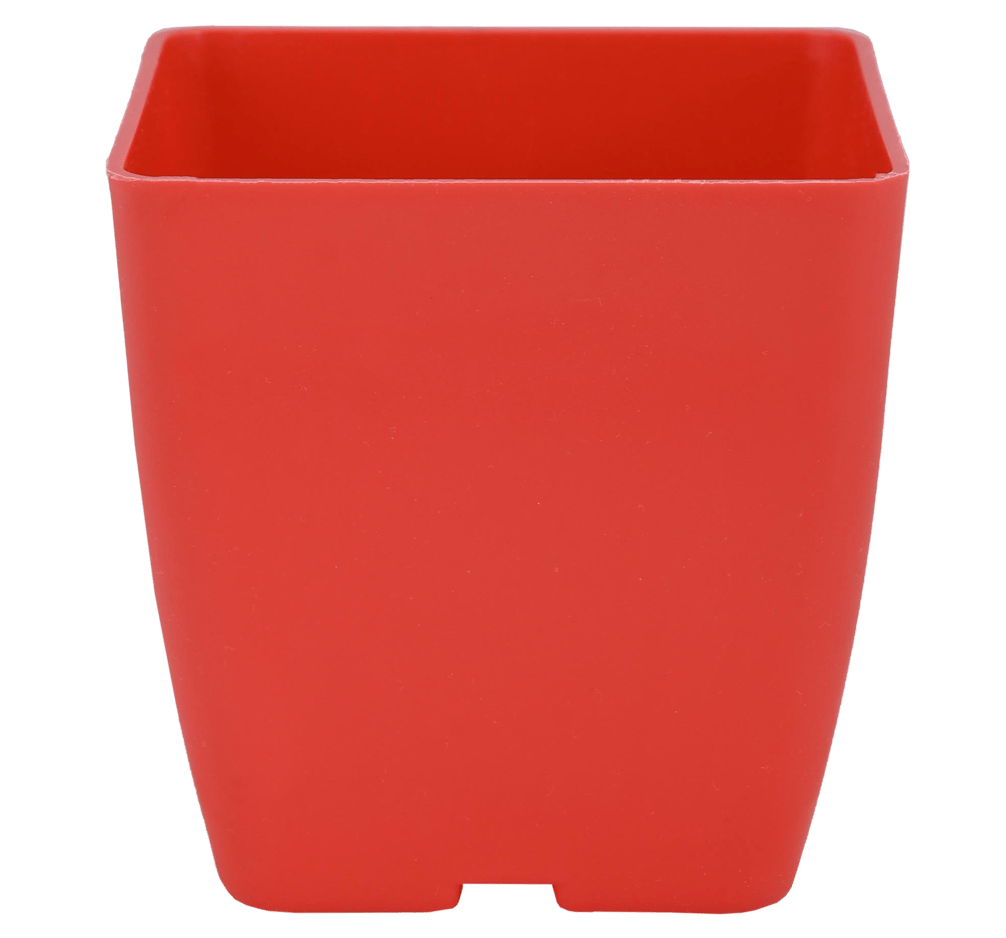 Planter Basant 2 Red
