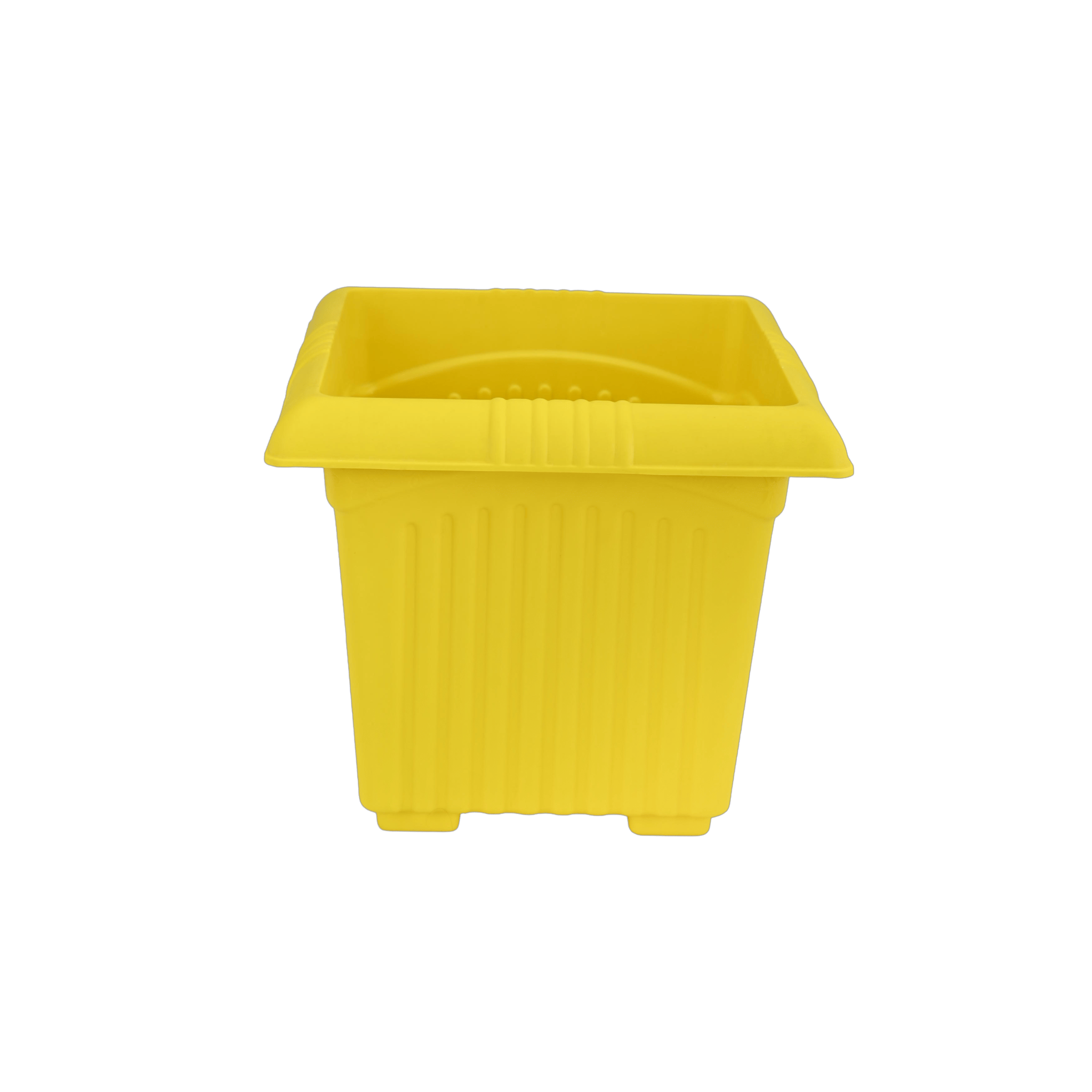 Planter Basant 10 Yellow