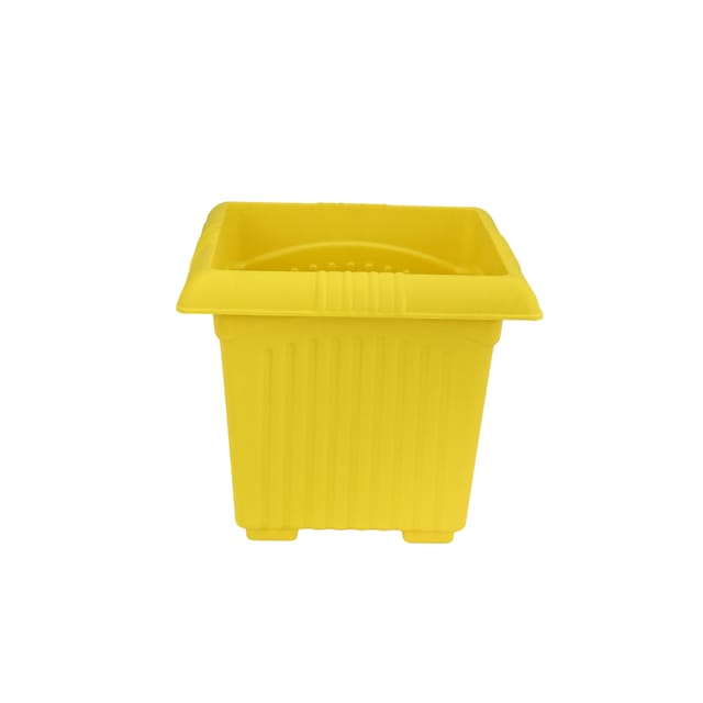 Planter Basant 16 Yellow