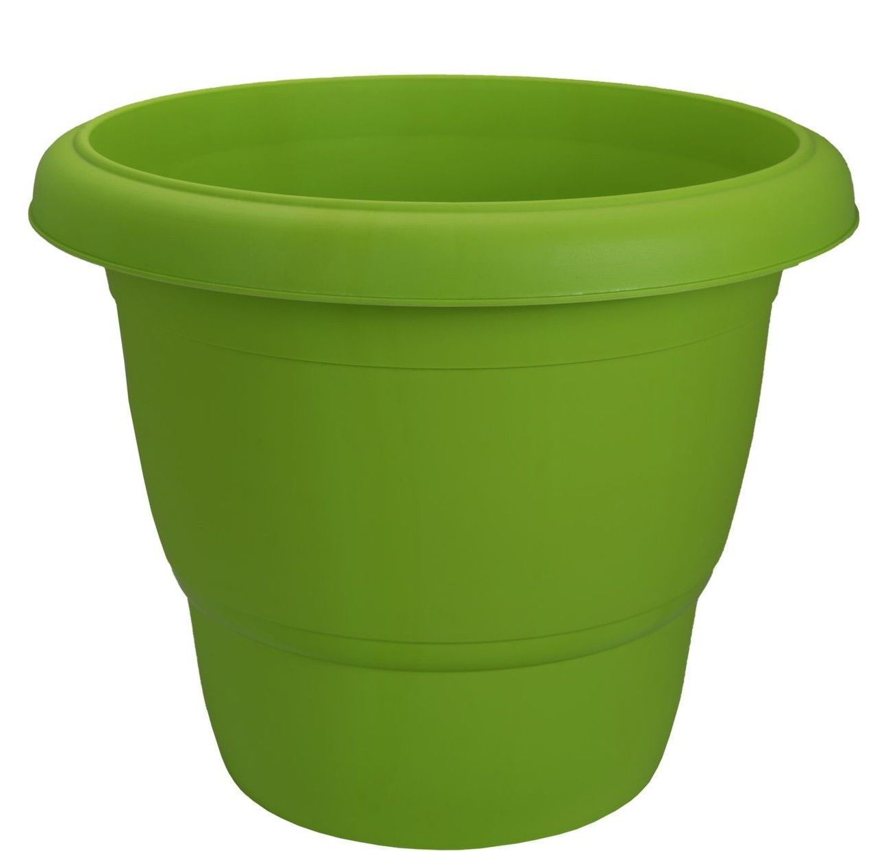 Planter Rose Parrot Green