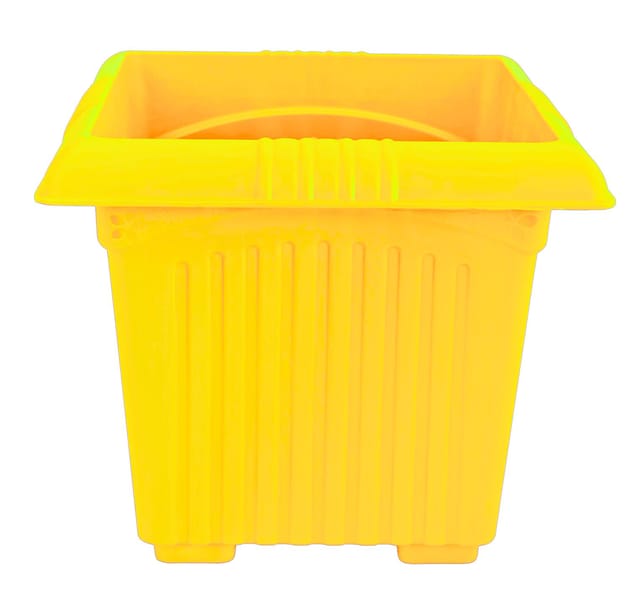 Planter Basant 12 Yellow